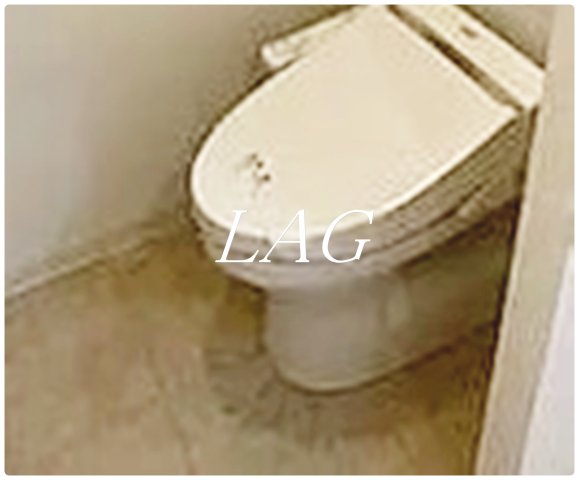 トイレ　トイレです。