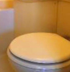 トイレ　トイレです