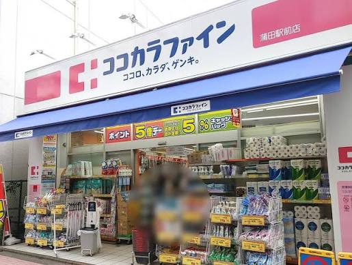 ドラックストア　ココカラファイン蒲田駅前店（ドラッグストア）まで786m