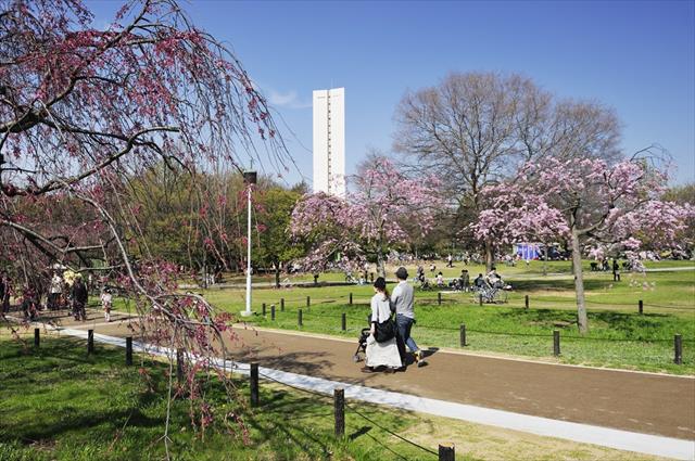 公園　大仙公園（公園）まで1146m