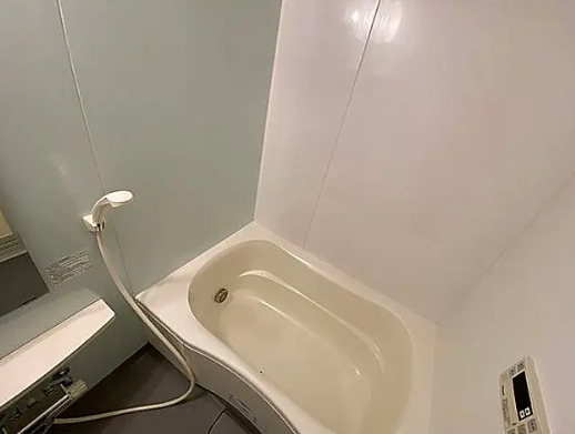 バス・シャワールーム　同タイプ部屋　参考写真です