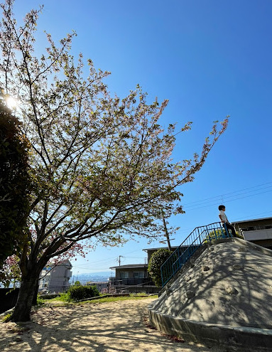 公園　石切駅前公園（公園）まで313m