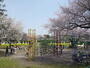公園　稲田公園（公園）まで1012m