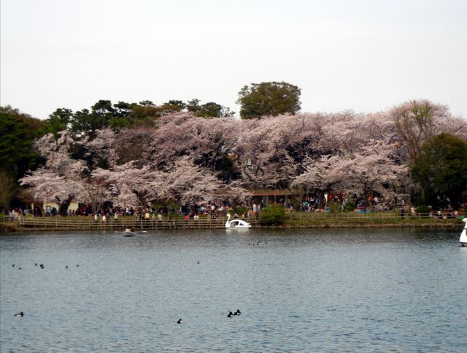 公園　洗足池公園（公園）まで286m