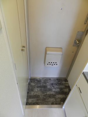 玄関　※反転タイプの写真です。