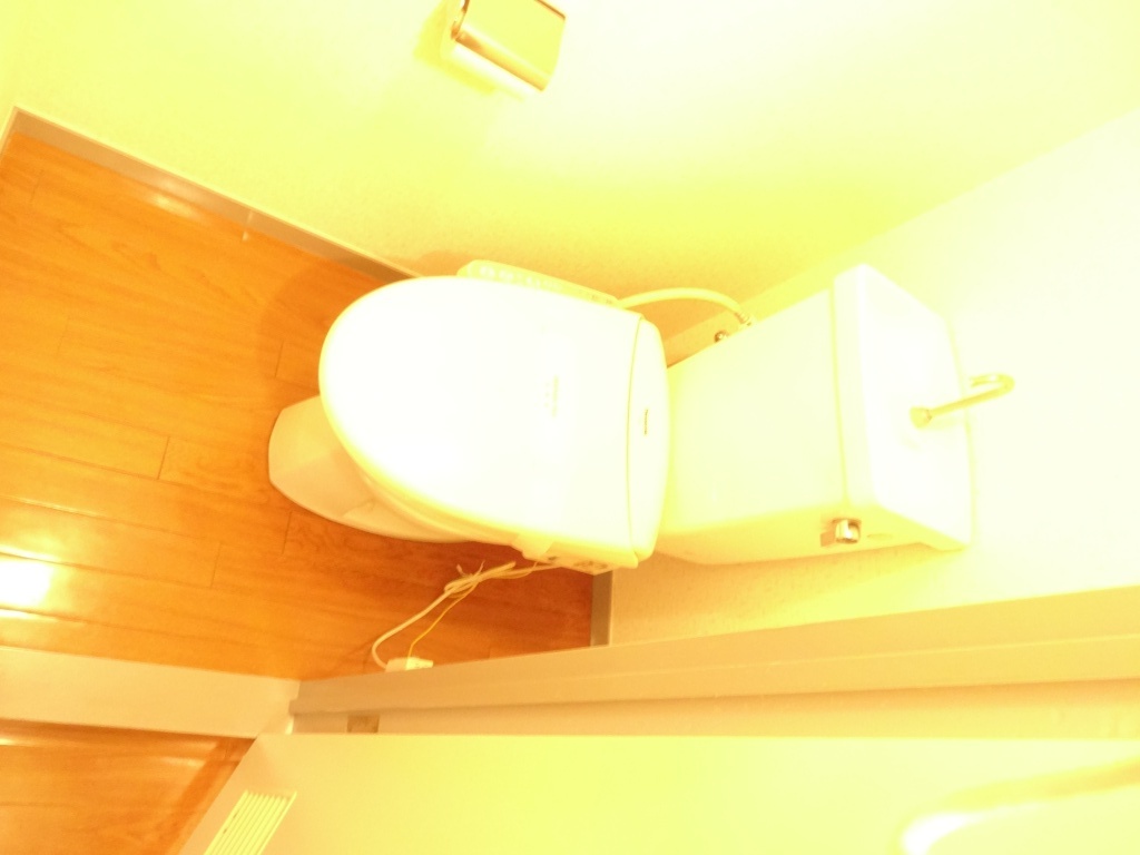メゾンカミヤのトイレ写真