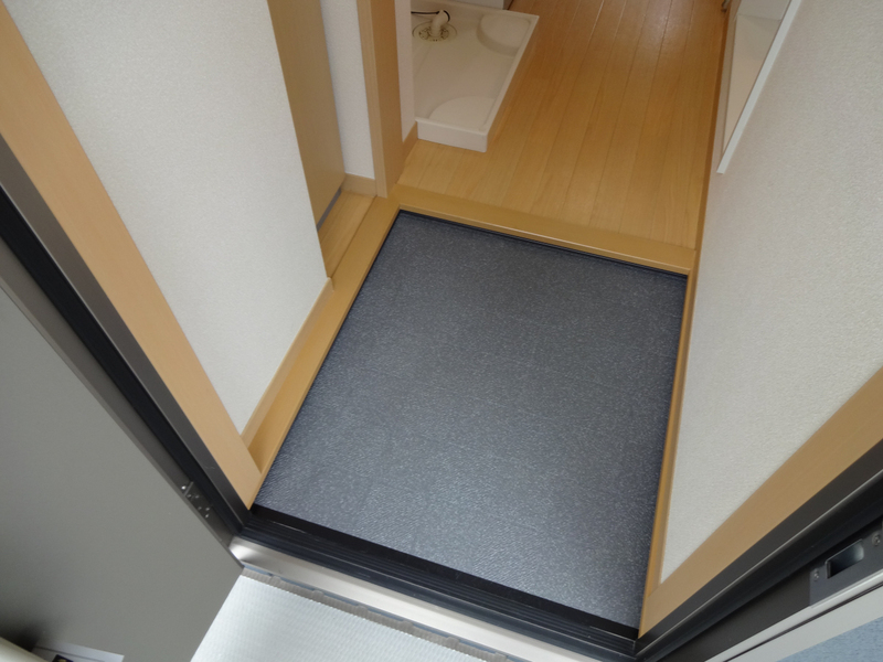 阪急宝塚線 豊中駅 徒歩14分 2階建 築17年の玄関写真