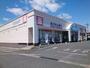 ドラックストア　ウエルシア高崎棟高店（ドラッグストア）まで1100m