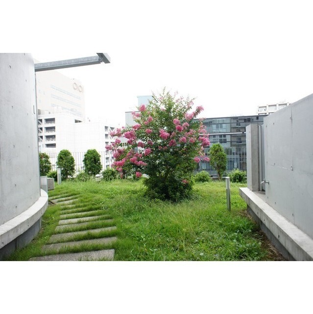眺望　屋上庭園