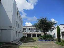 小学校　神戸市立出合小学校（小学校）まで1003m