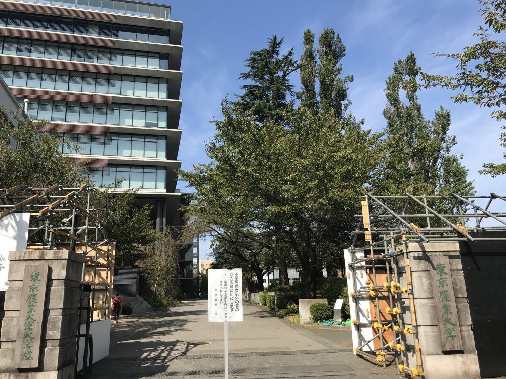 大学・短大　東京農業大学 世田谷キャンパス（大学・短大）まで2183m
