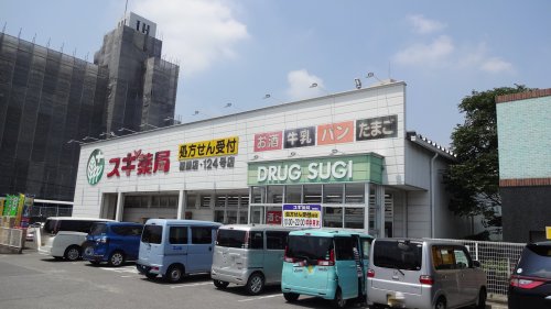 ドラックストア　スギ薬局 稲熊店（ドラッグストア）まで1007m
