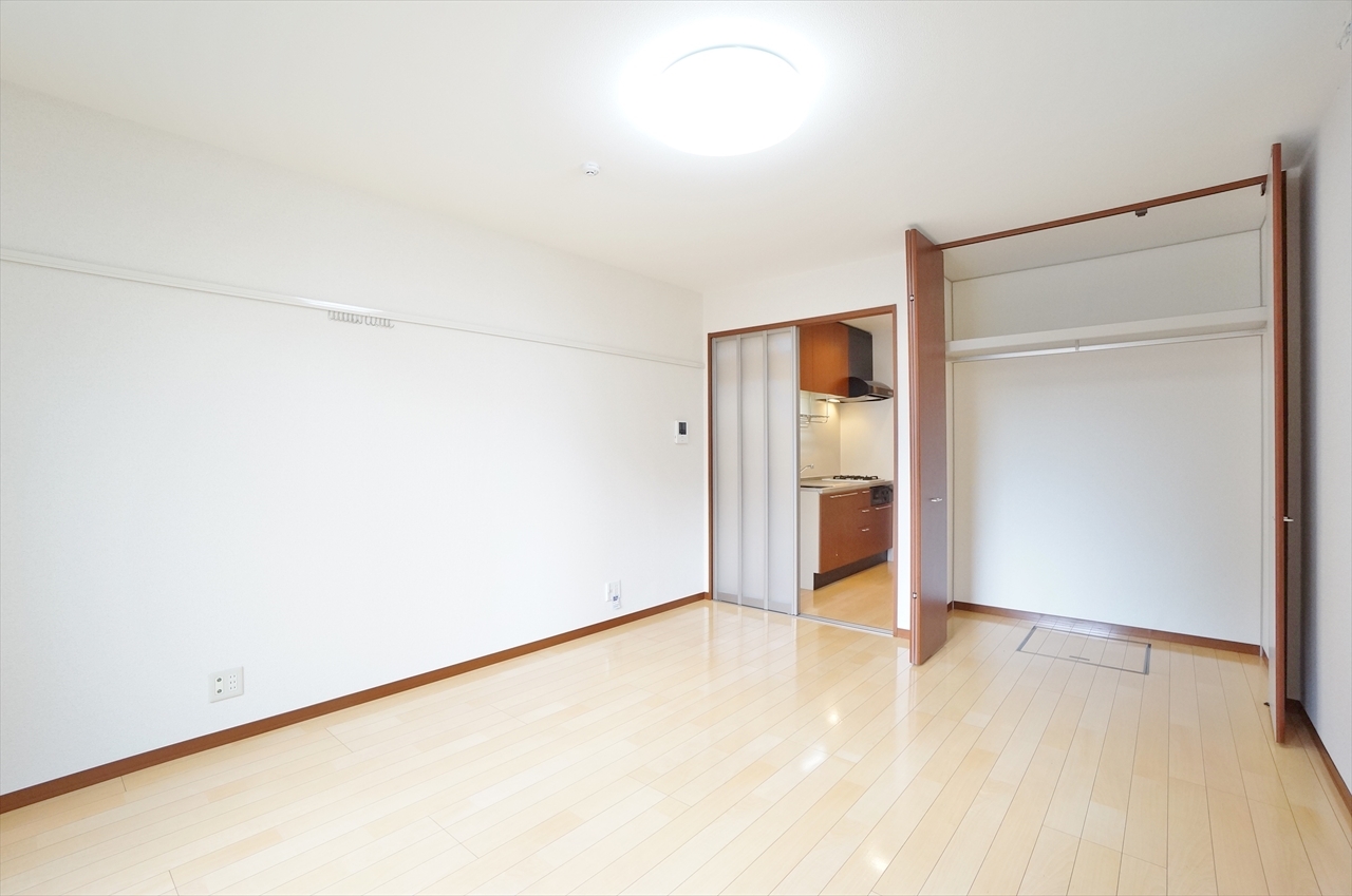 収納　居室の大きめなクローゼットです。