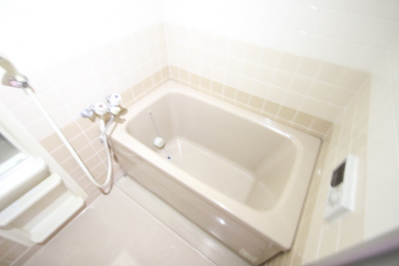 バス・シャワールーム　※別部屋の写真です