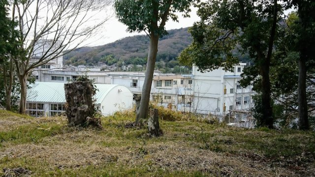 【岡山市北区西辛川のアパートの中学校】