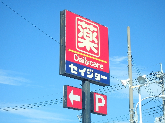 ドラックストア　セイジョー大和渋谷店（ドラッグストア）まで638m
