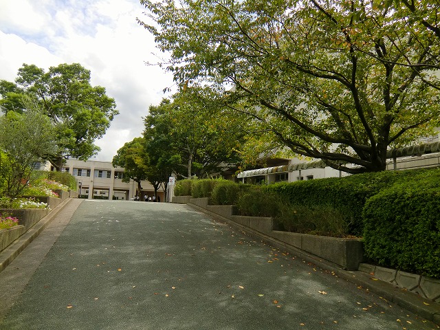 中学校　河東中学校（中学校）まで1100m