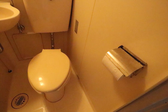 トイレ　※別号室の写真となります