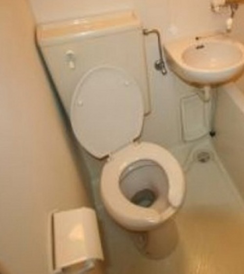 トイレ　他号室のお写真です