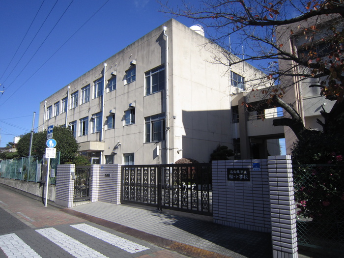 小学校　市立桜小学校（小学校）まで241m