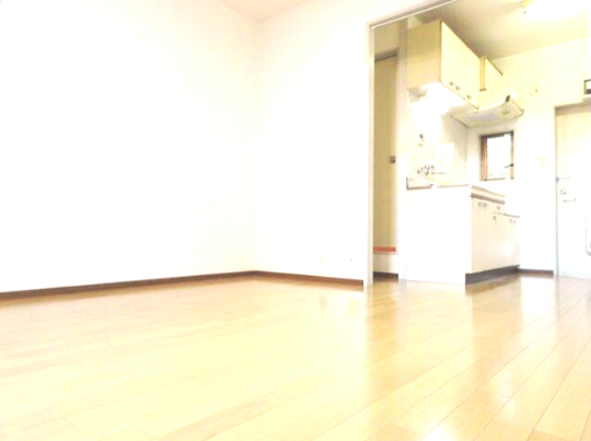 居室・リビング　ゆったりとした居間です