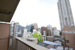 眺望　（別タイプ参考写真）ライジングプレイス池袋　豊島区池袋２