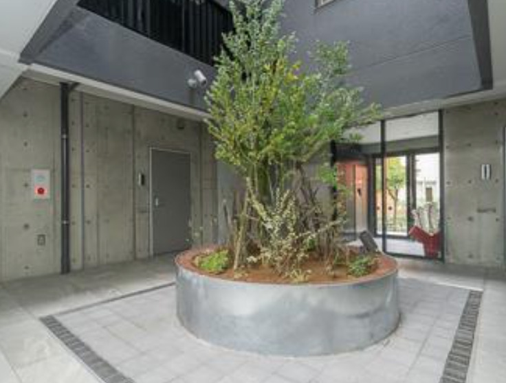 エントランス　Ｓｕｎｎｙ　Ｓｉｄｅ　Ｆｏｒｅｓｔ