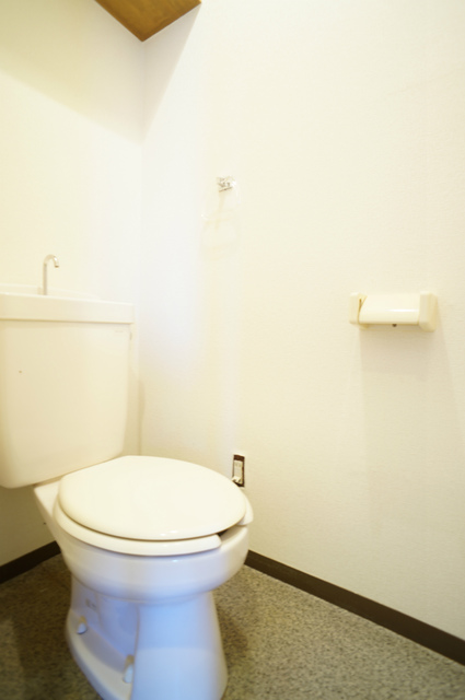 トイレ　参考写真（同建物別部屋のものです）