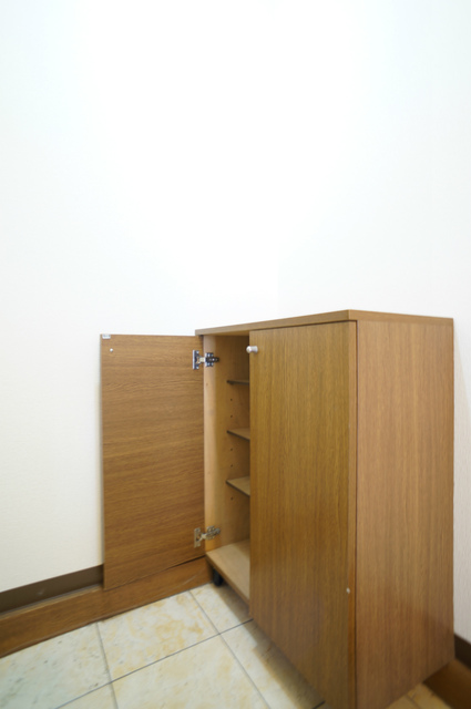 玄関　参考写真（同建物別部屋のものです）