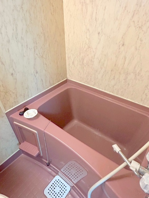 バス・シャワールーム　※写真は別号室です。