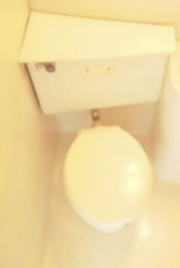 トイレ　トイレもきれいです