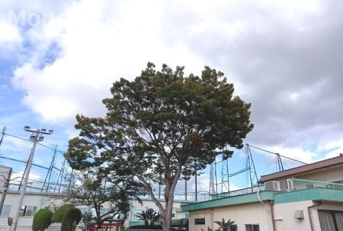 その他　泉北ゴルフセンター（その他）まで3552m