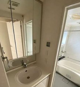 洗面設備　※別部屋の参考写真です。