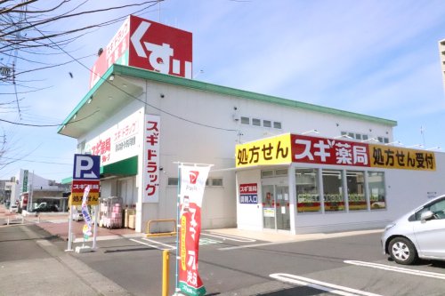 ドラックストア　スギ薬局 松本店（ドラッグストア）まで794m
