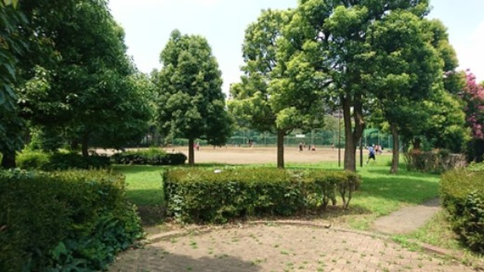 公園　柴崎公園（公園）まで1300m