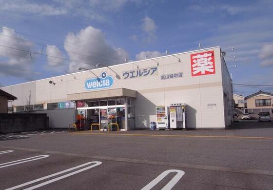 スーパー　ウエルシアフジイ富山婦中店（スーパー）まで281m