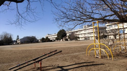 小学校　土浦市立下高津小学校（小学校）まで454m