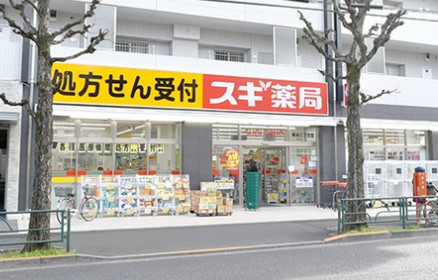 ドラックストア　スギ薬局 南台三丁目店（ドラッグストア）まで434m
