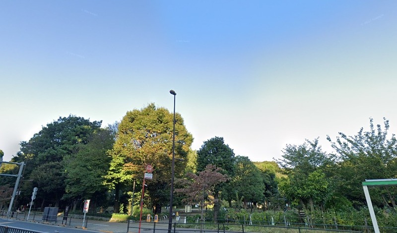 公園　国立科学博物館附属 自然教育園（目黒）（公園）まで406m