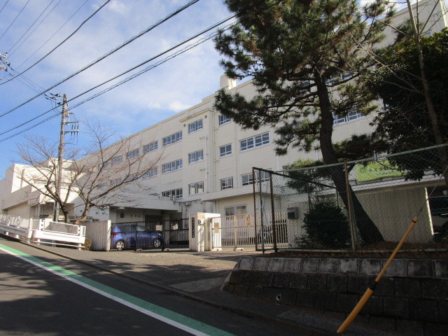小学校　横浜市立もえぎ野小学校（小学校）まで706m