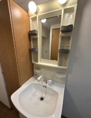洗面設備　※別部屋参考写真