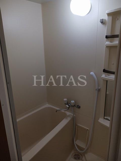 バス・シャワールーム　同物件別部屋です
