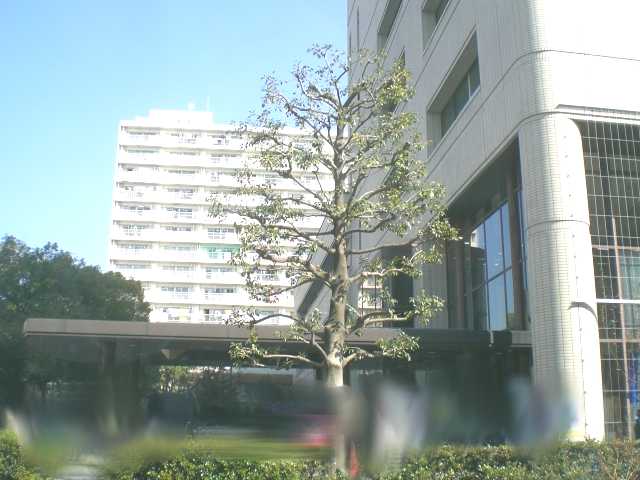 その他　横浜市鶴見区役所（その他）まで1828m