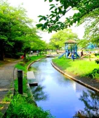 公園　大横川親水公園（公園）まで170m