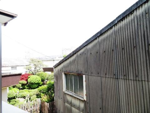 Shannonのその他写真