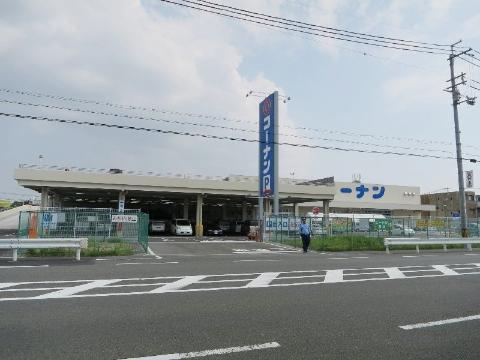 Shannonの周辺写真