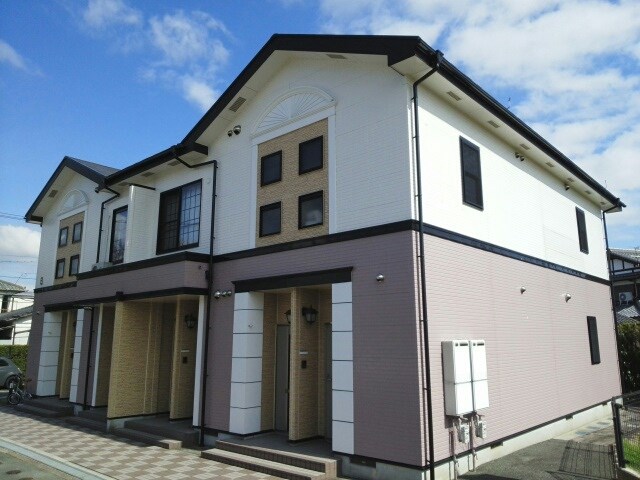 サンフラワー