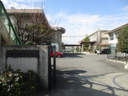 小学校　白山小学校（小学校）まで223m