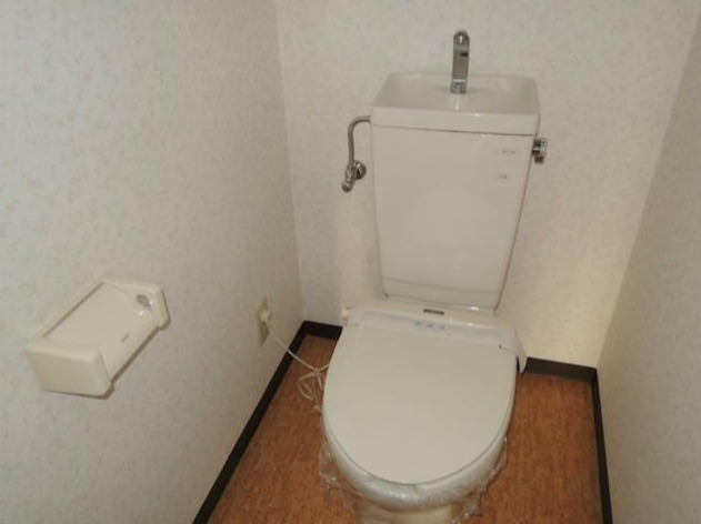 ＪＲ南武線 稲田堤駅 徒歩6分 3階建 築30年のトイレ写真
