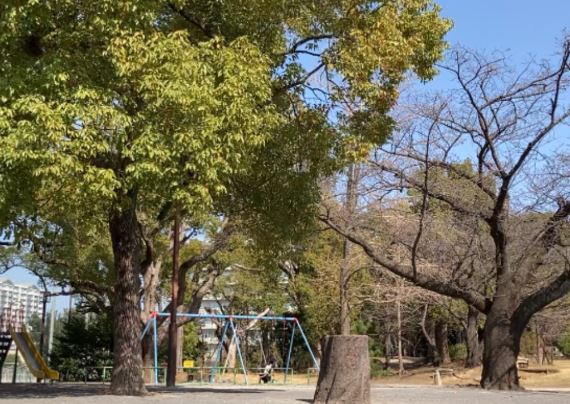 公園　八幡山公園（公園）まで693m